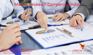 Market Survey Companies in Chennai | Arrow Point